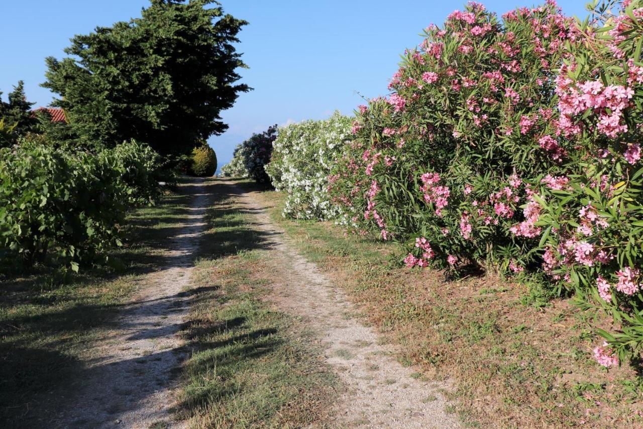 Orfanos 3 Villa Armení Kültér fotó